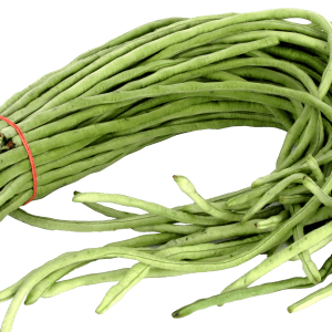 油豆角（青豆角）
